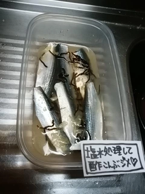 コノシロ