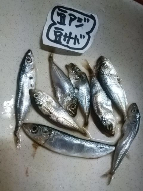 豆
