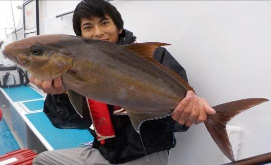 f:id:ishiguroito:20150619153646j:plain