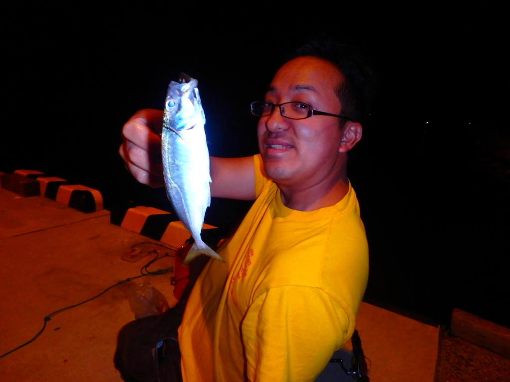f:id:ishiguroito:20150827175014j:plain