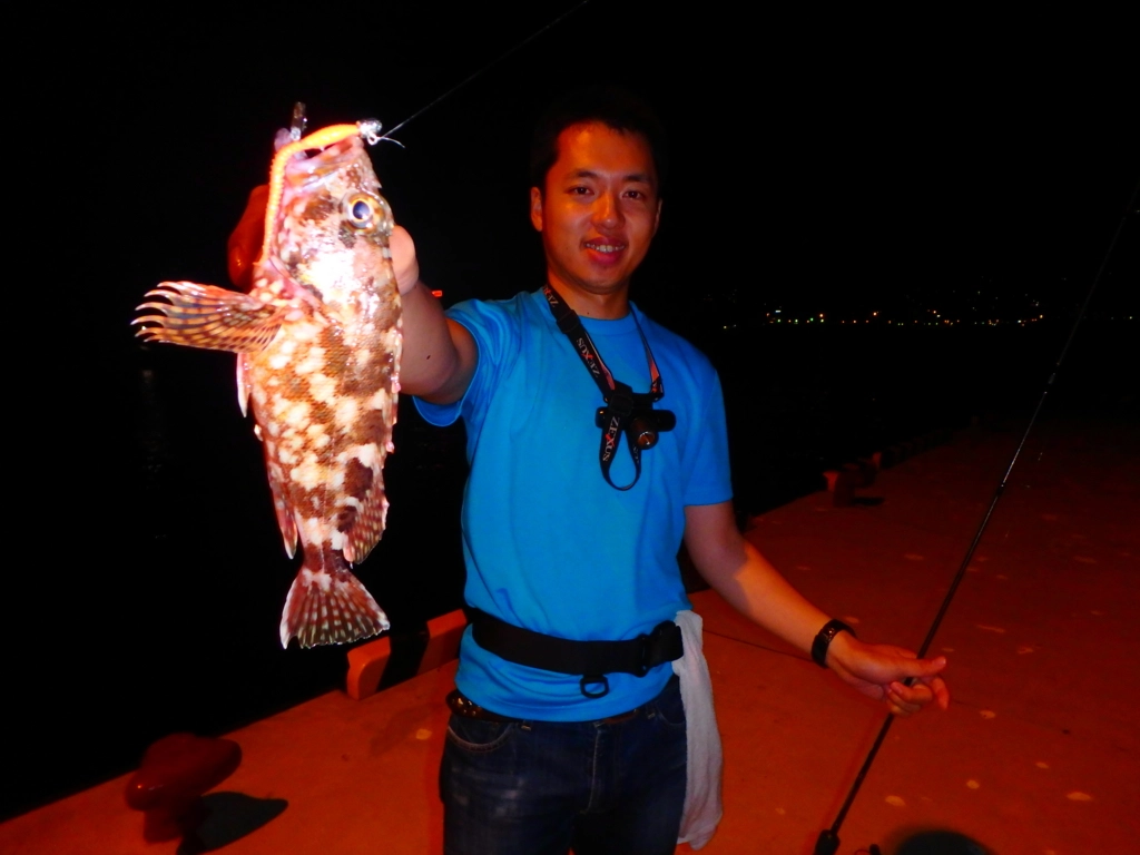 f:id:ishiguroito:20150827175535j:plain