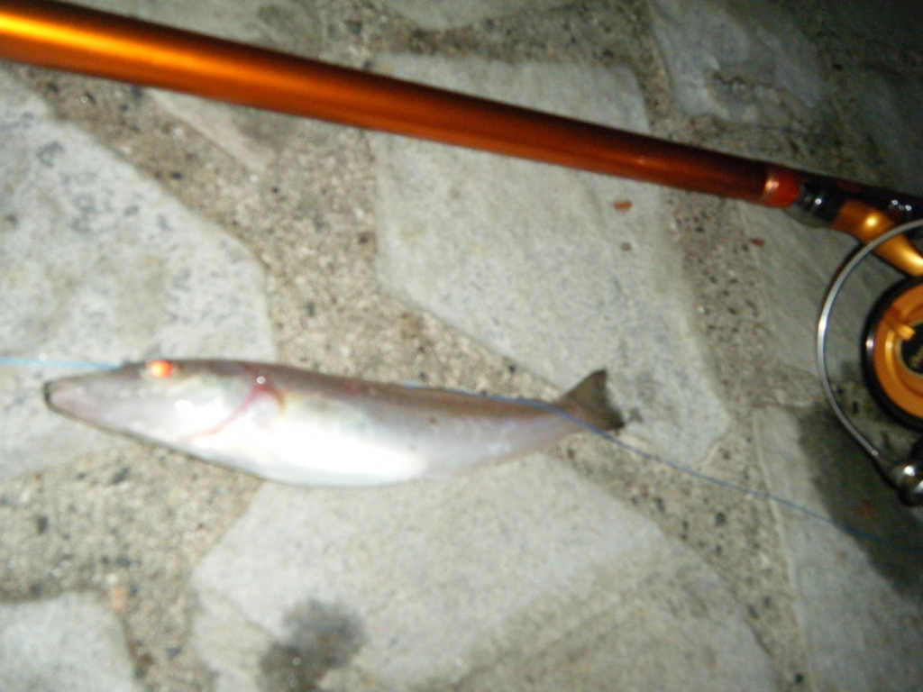 f:id:ishiguroito:20150915193844j:plain