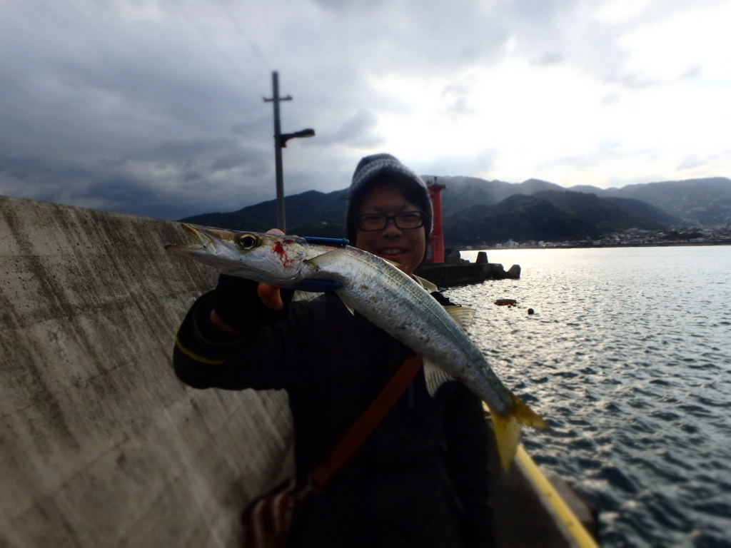 f:id:ishiguroito:20151113144643j:plain