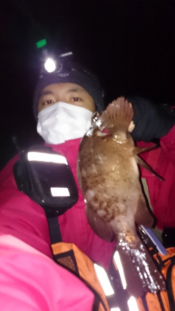 f:id:ishiguroito:20151203121907j:plain