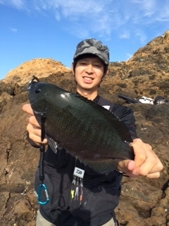 f:id:ishiguroito:20151205193835j:plain