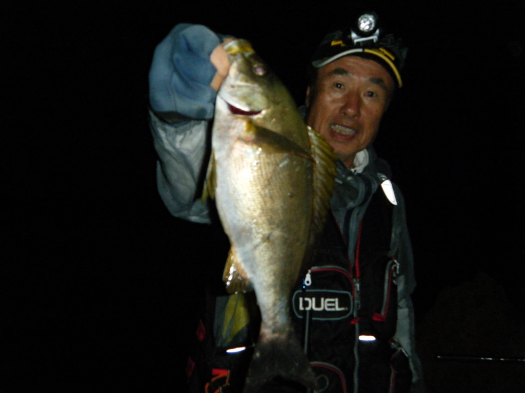 f:id:ishiguroito:20160607184829j:plain