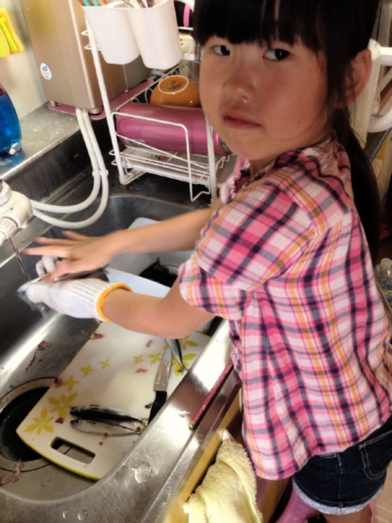 f:id:ishiguroito:20160607191440j:plain