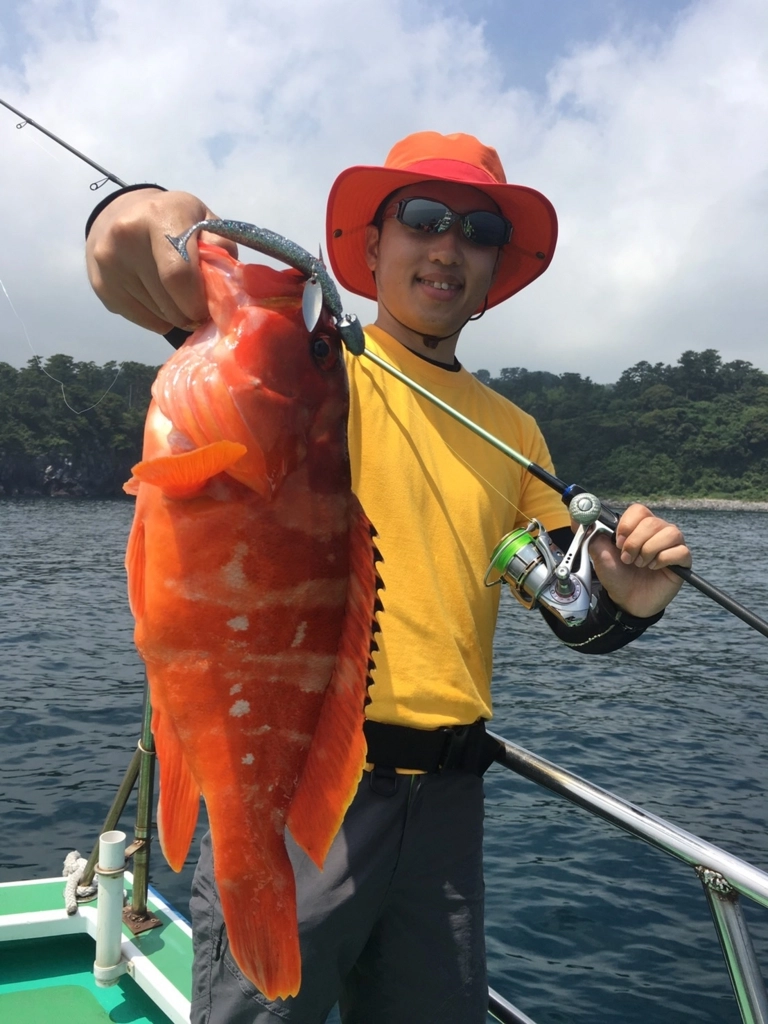 f:id:ishiguroito:20160721194638j:plain