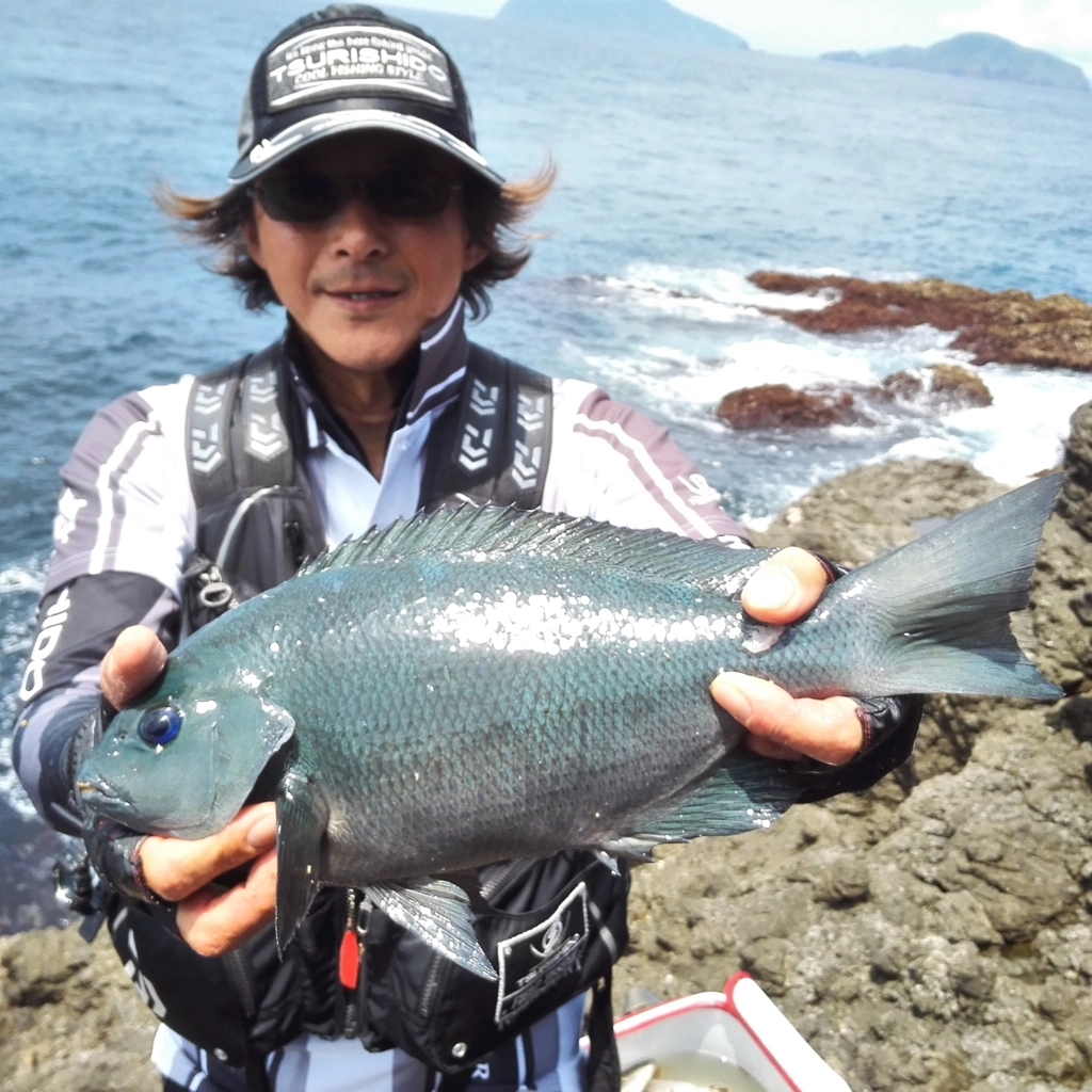 f:id:ishiguroito:20170617204819j:plain