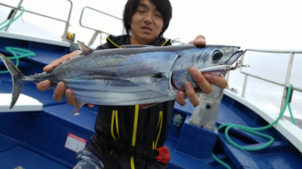 f:id:ishiguronumazu:20160728142057j:plain