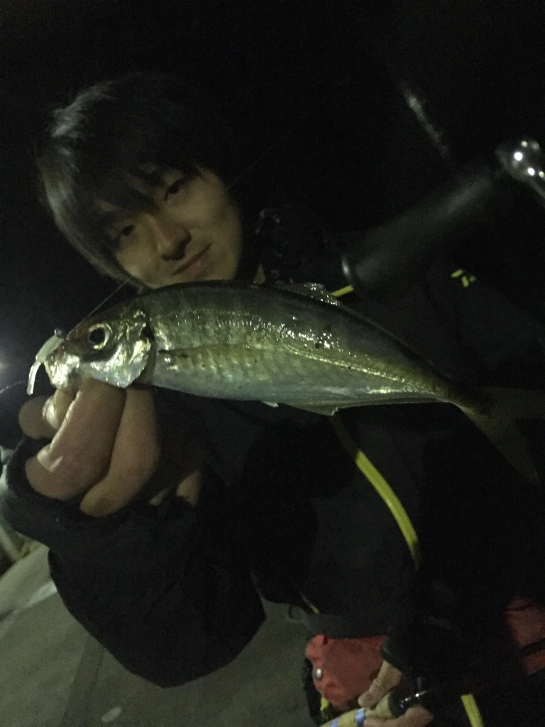 f:id:ishiguronumazu:20170127195629j:plain