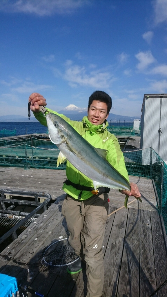 f:id:ishiguronumazu:20170204134144j:plain