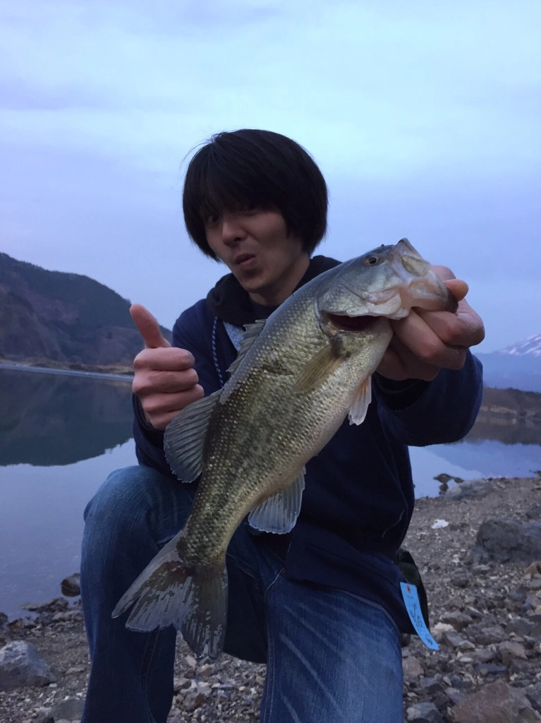 f:id:ishiguronumazu:20170412184035j:plain