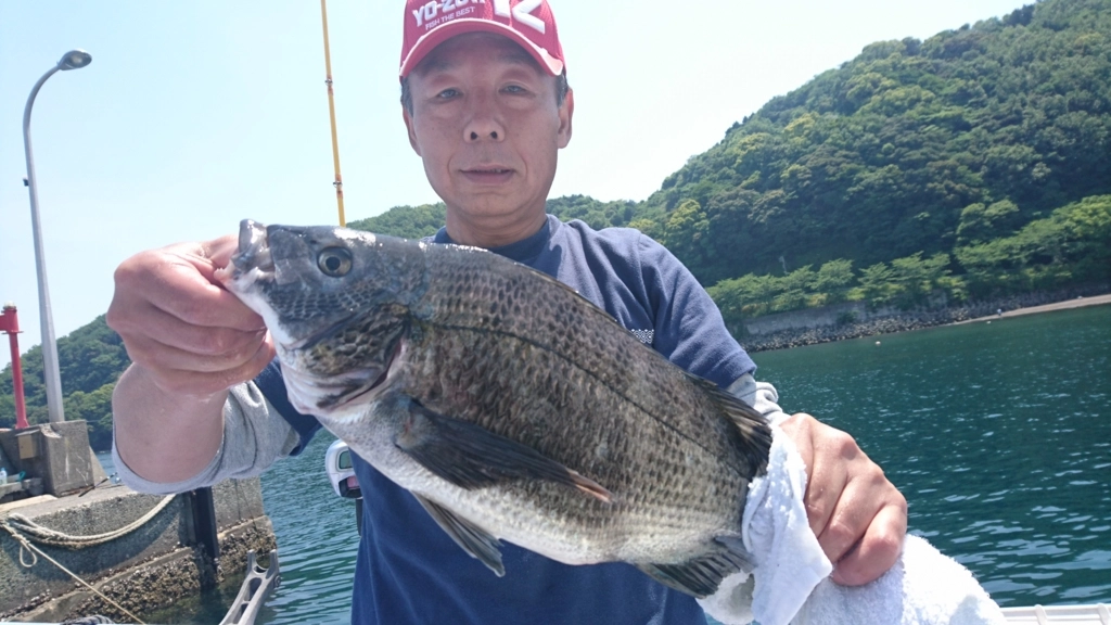 f:id:ishiguronumazu:20170525121333j:plain