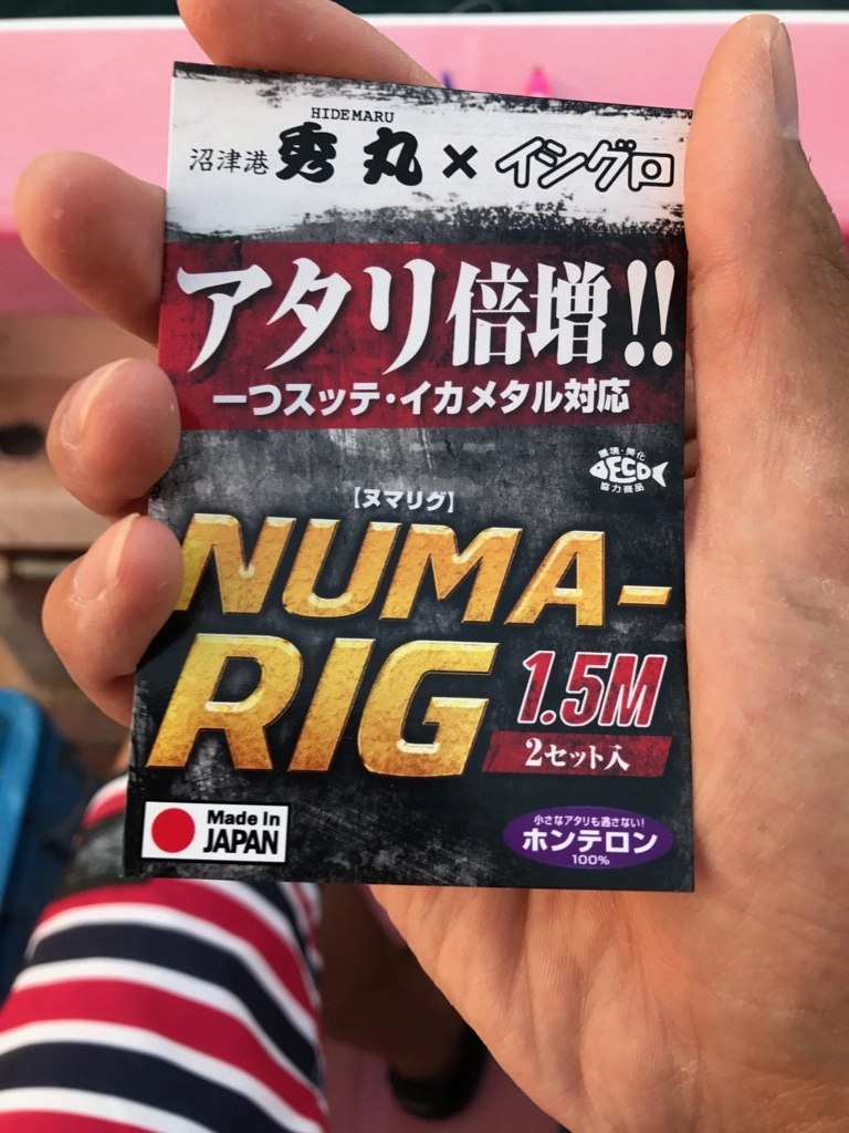 f:id:ishiguronumazu:20170621173756j:plain