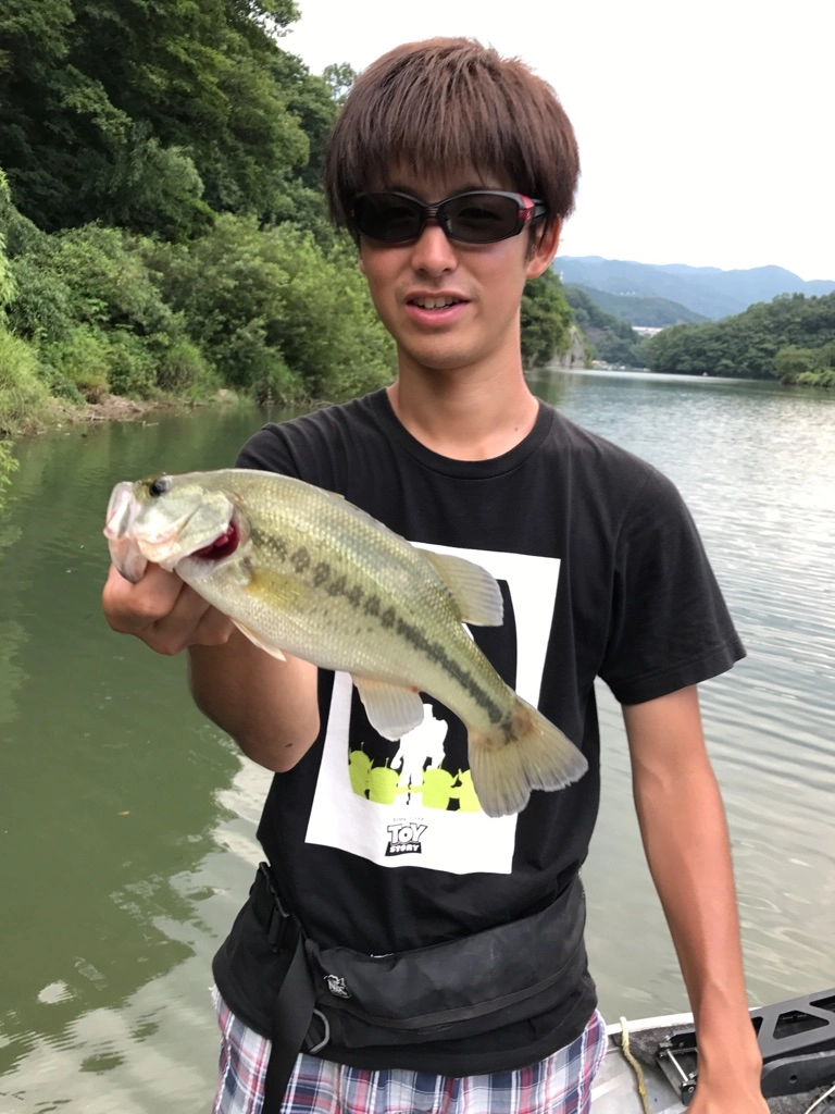 f:id:ishiguronumazu:20170811160817j:plain