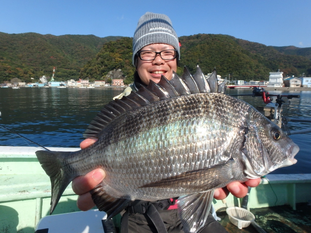 f:id:ishiguronumazu:20171116172749j:plain