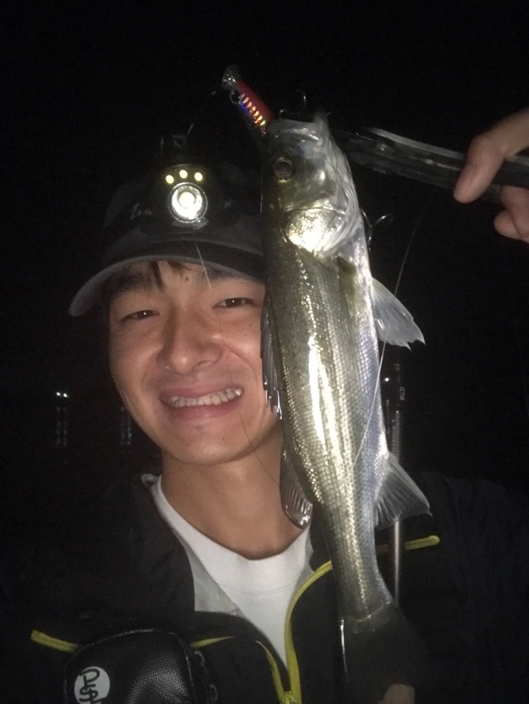 f:id:ishiguronumazu:20171117133050j:plain