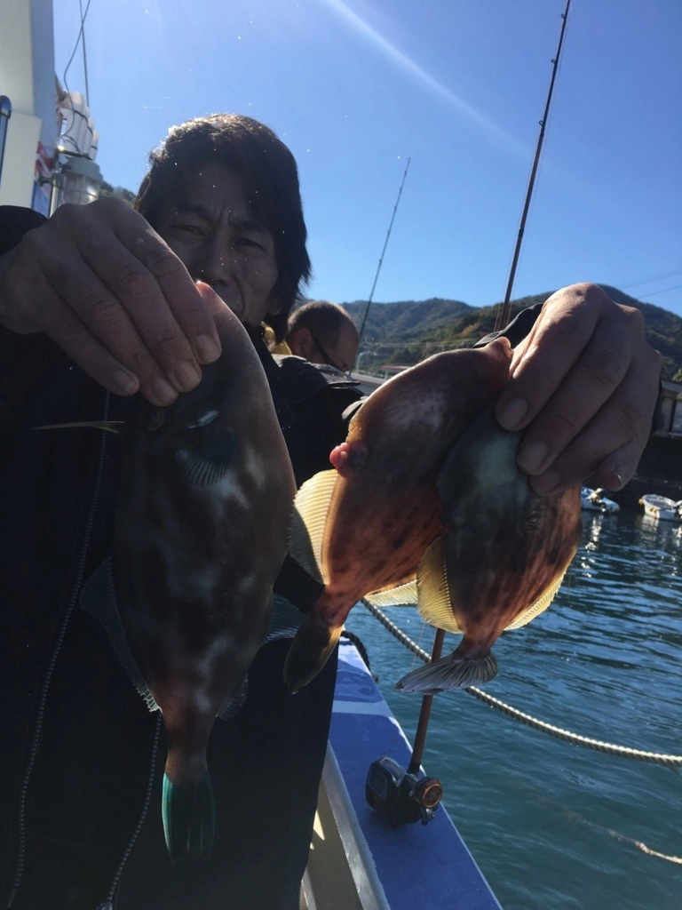 f:id:ishiguronumazu:20171120164215j:plain