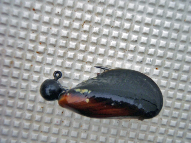 カラス貝のセット方法です。