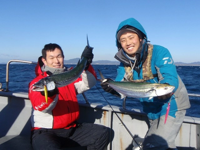 サゴシサイズが中心ですが時々サワラもヒット！脂がのって食べても最高！