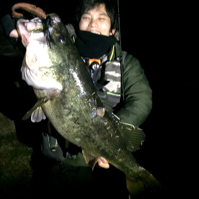 イシグロ鳴海店 三池の６２ｃｍ！！