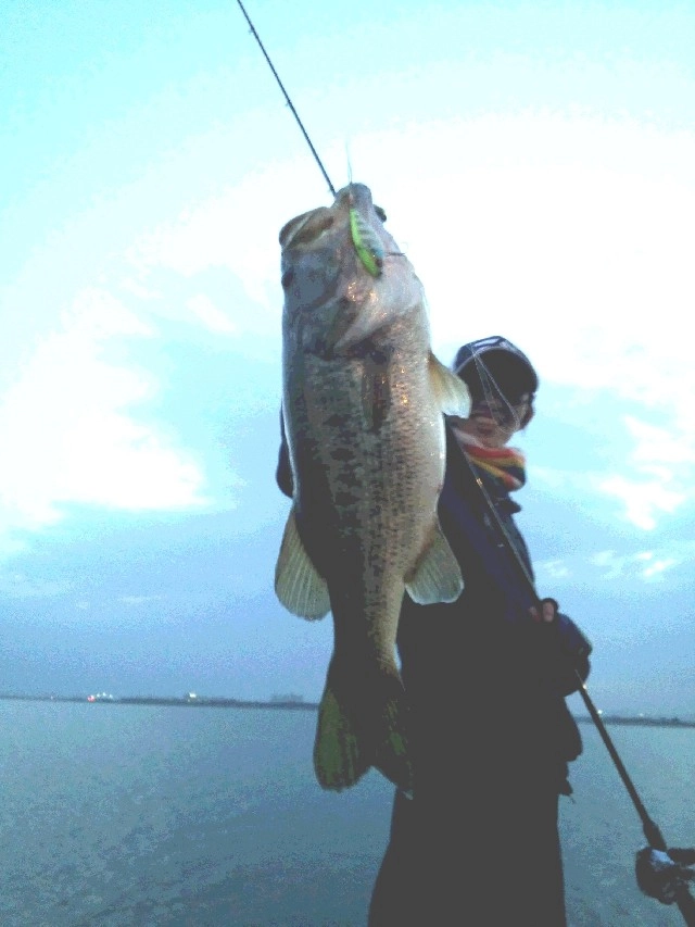 春の琵琶湖 南湖オカッパリ！ ＴＮ７０最強です！！