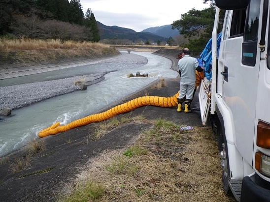 3月20日 杉川への放流模様