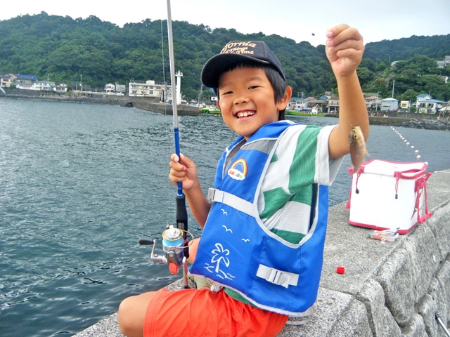 金魚ちゃん（ネンブツダイ）はたくさん釣れます。