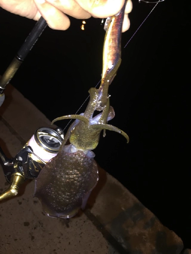 １投目でヒット！