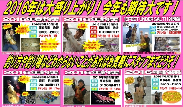 ２０１６年はアオリイカで大盛り上がり！今年も期待大です！釣り方や釣り場などわからない事があればお気軽にスタッフまでどうぞ！