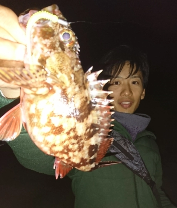 20170306s.png