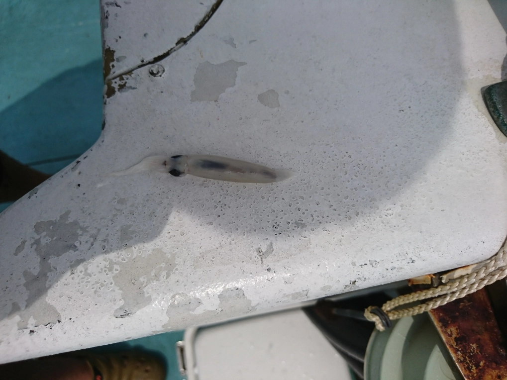 DSC_0406.JPG