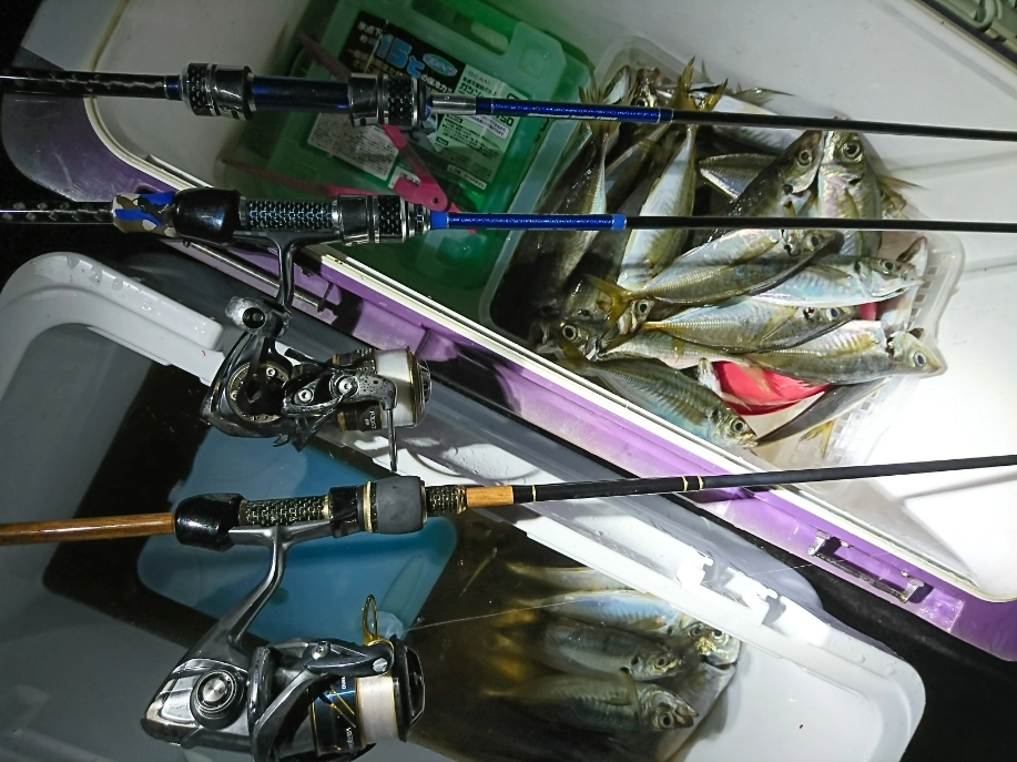 DSC_04ああ31.JPG