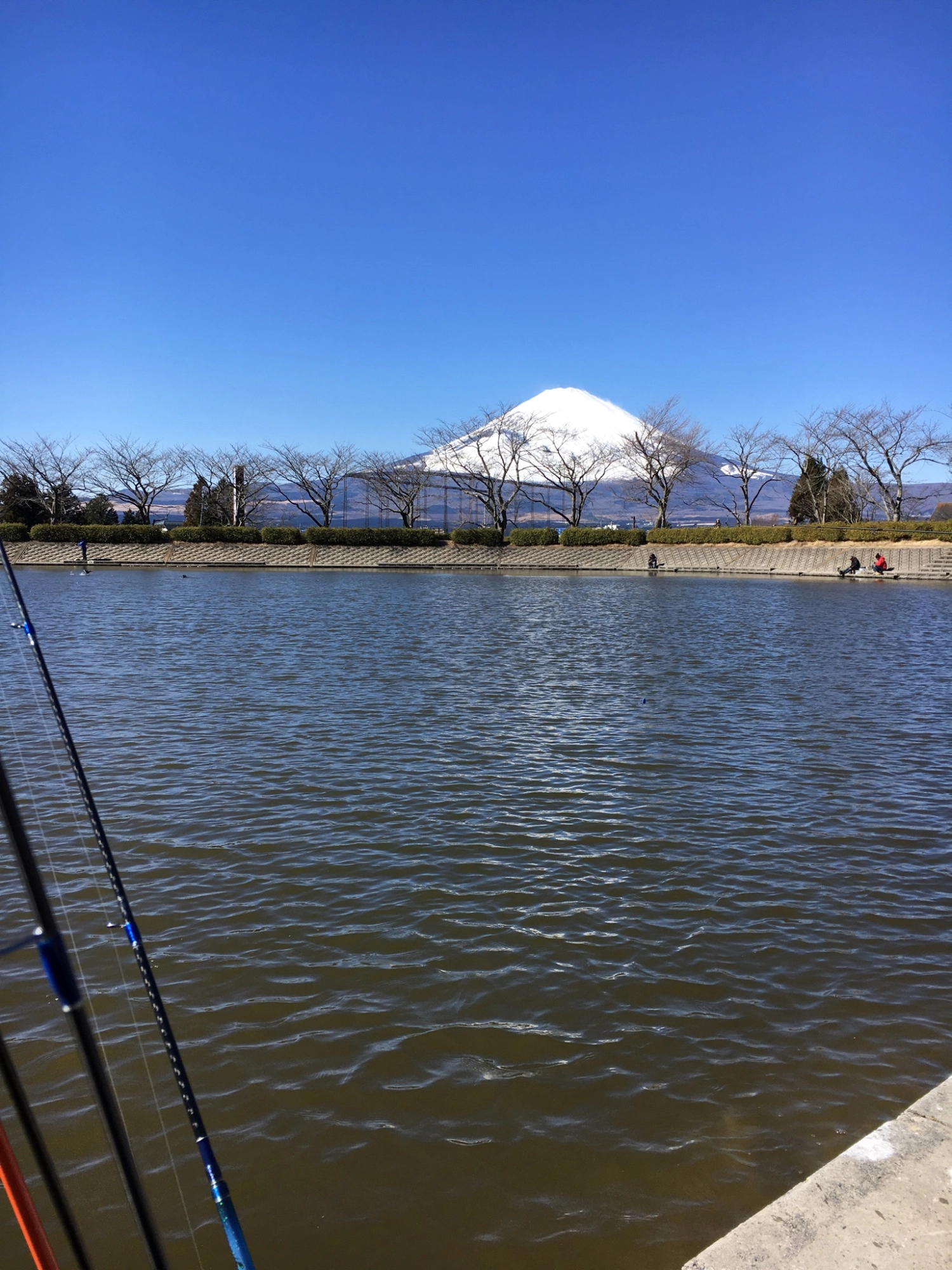 IMG_5090.jpg