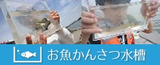 banner12.jpg