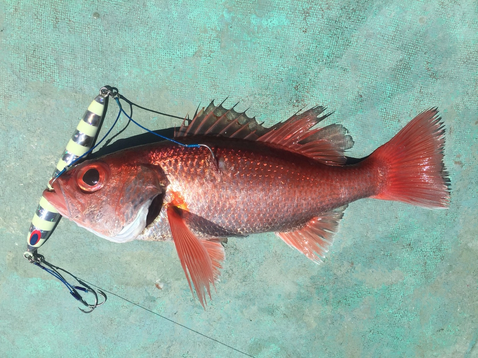 sakanjigu.JPG