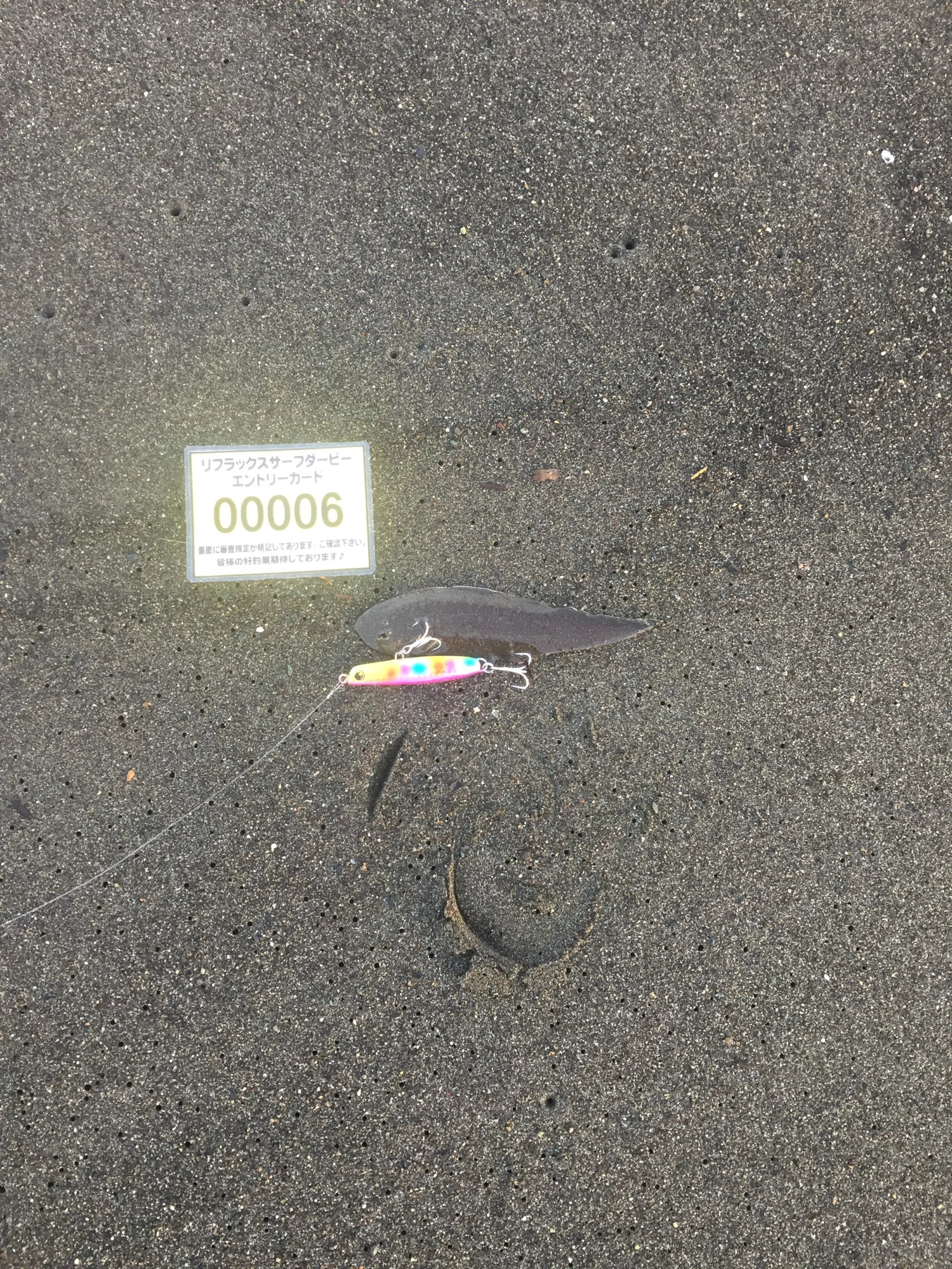 番外編シタビラメ.JPG