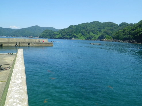 宇久漁港（うく） 【福井県・小浜市】