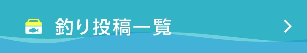 釣り投稿一覧