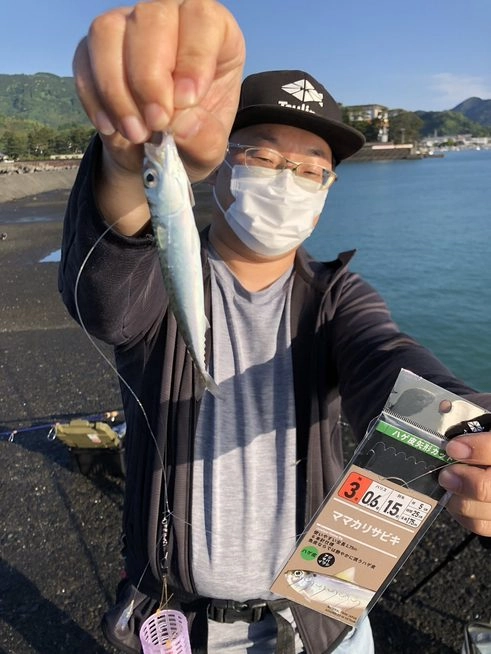堤防コサバ