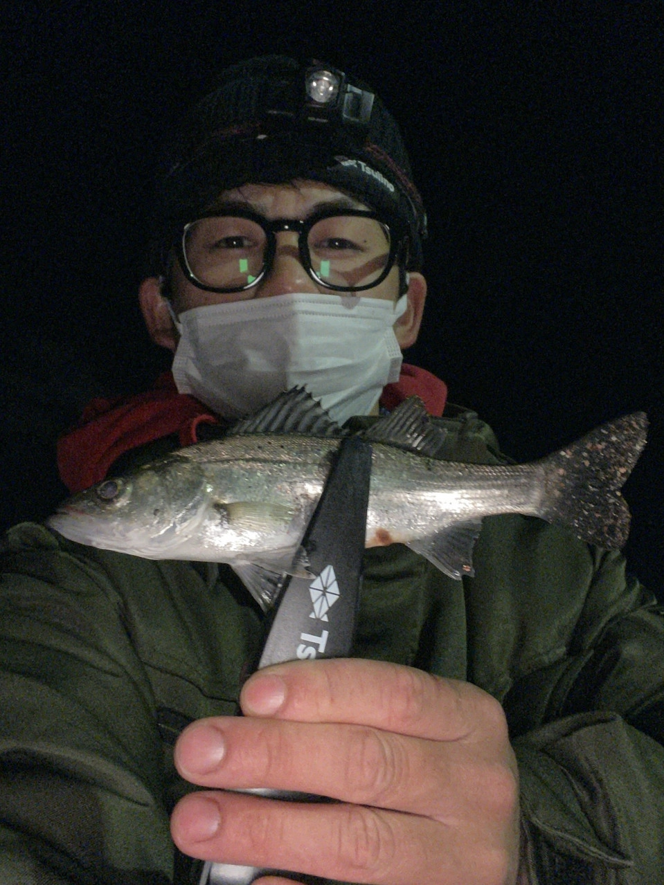 20cmくらいのセイゴ②
