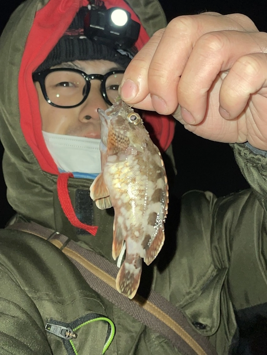 ちびカサゴ①
