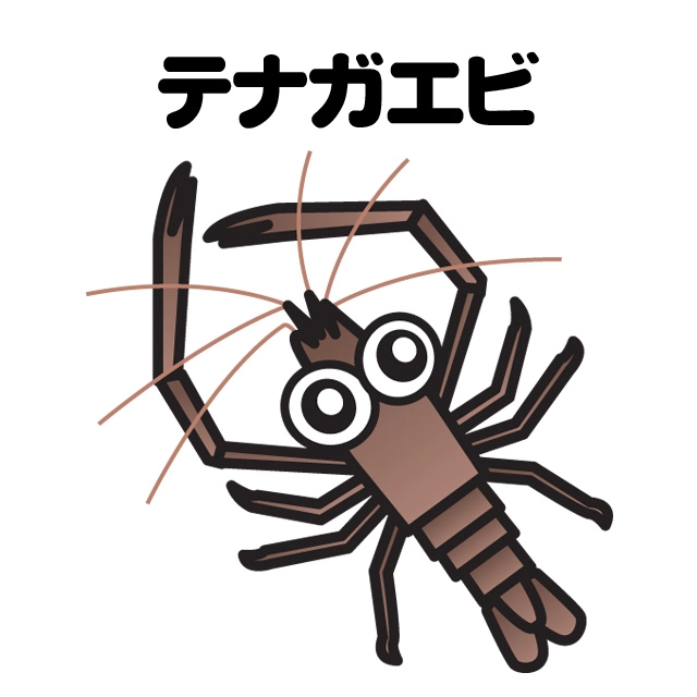 手長エビ釣り