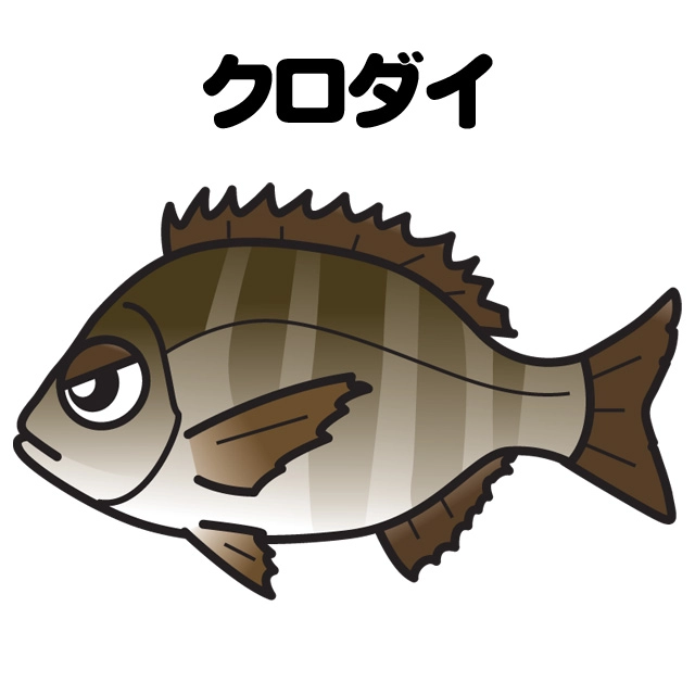 クロダイブッコミ釣り