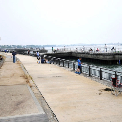 浜名湖新居海釣り公園