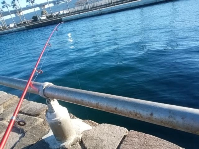 いい天気