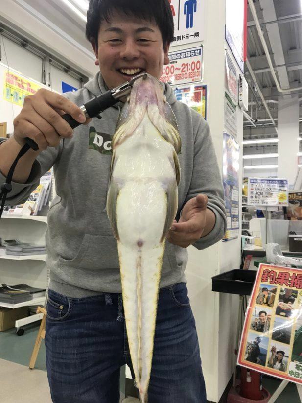 腹パンマゴチ～～