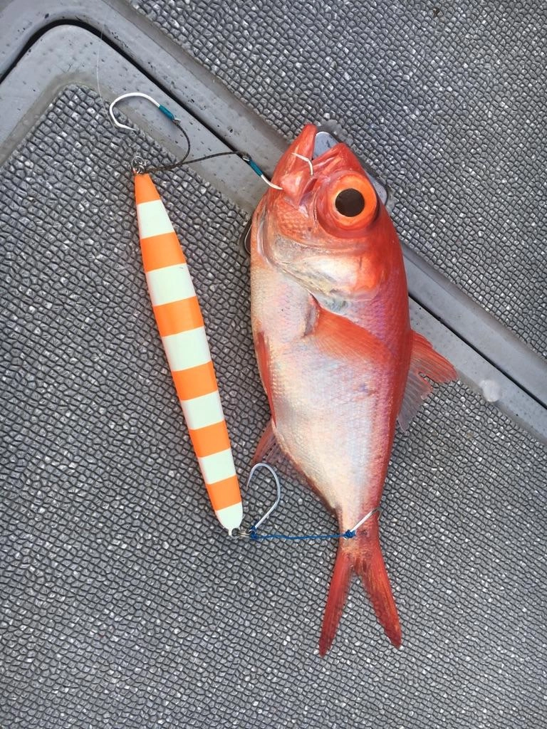 ヒットルアーはアーク２９０ｇ。