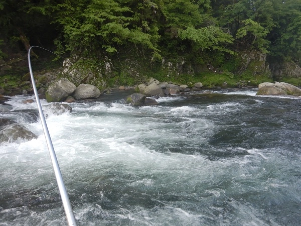 吉田川中流域